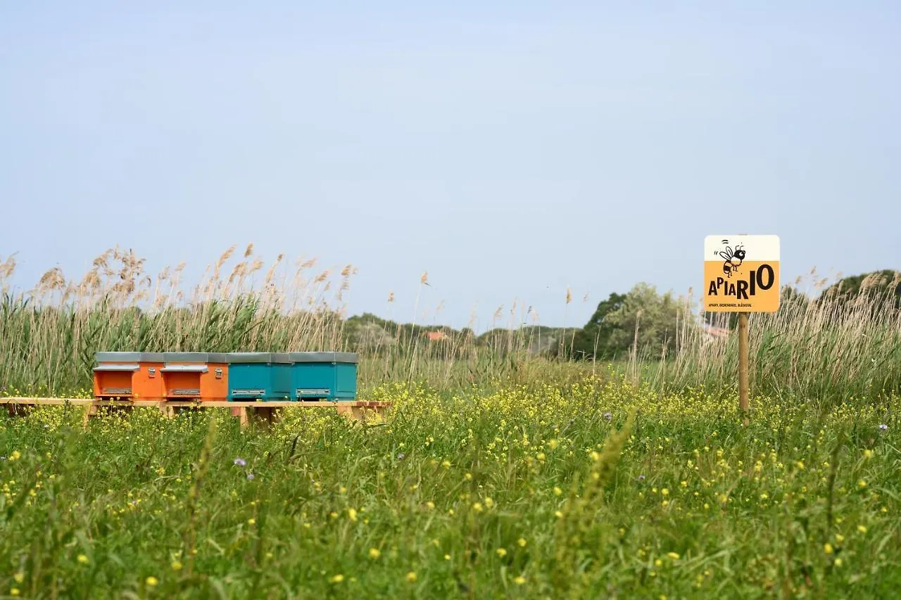 *** Campsite Camping Campo Dei Fiori Villa Vada Italy