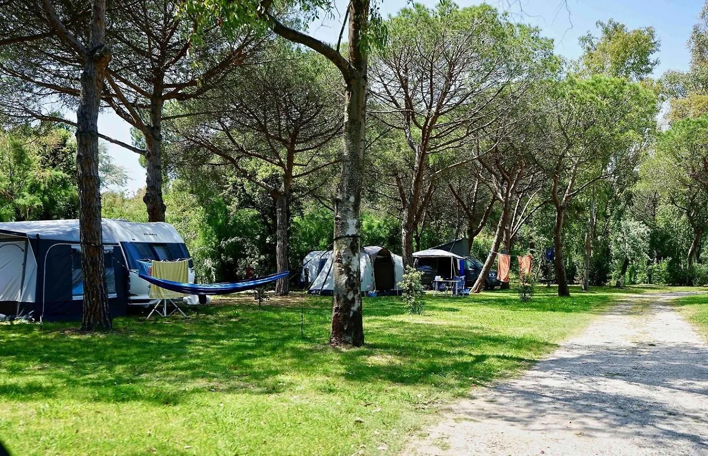 Camping Campo Dei Fiori Villa Vada Italy